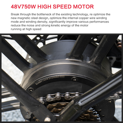 40Km/H Lithium Battery Magnesium Alloy Variable Speed Lithium Battery Electric Bicycle