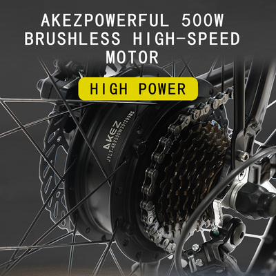 Soft Tail Frame 30-50Km/H 40Km/H Lithium Battery Electric Bicycle With Led Display