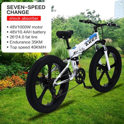 40km/H Lithium Battery Electric Bike Soft Tail Frame